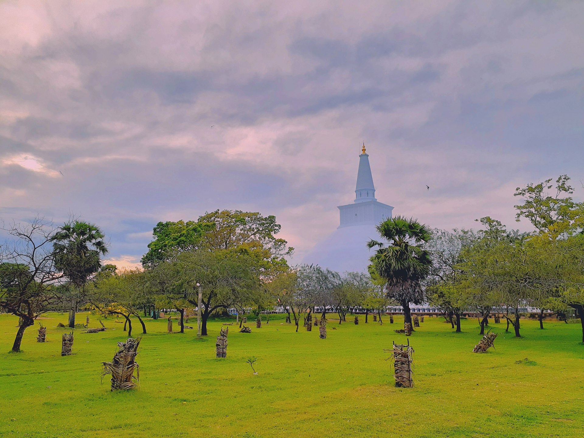 The Cultural Triangle | Echoes of the First Sacred Kingdom