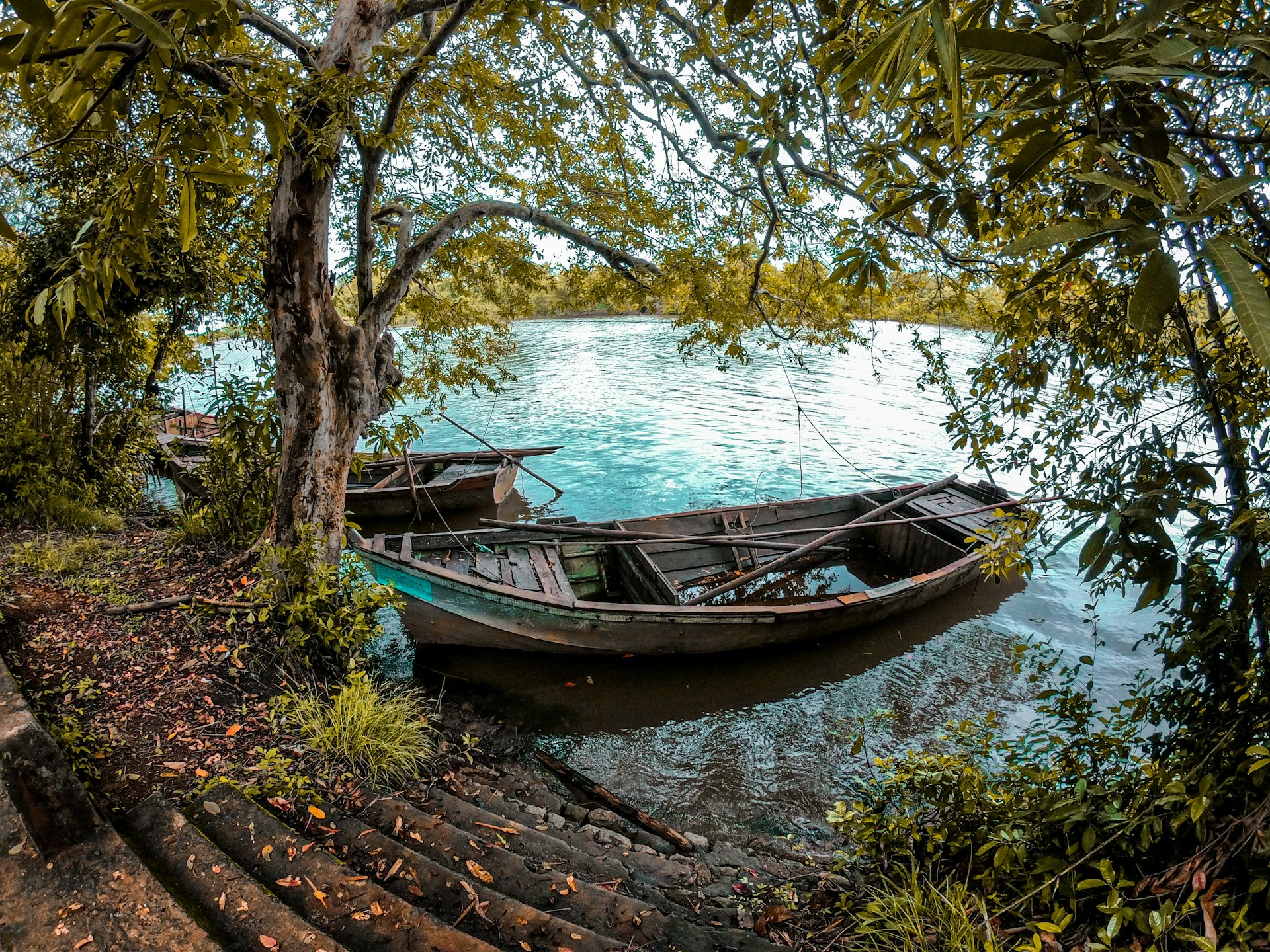 Mangrove Labyrinths & Coastal Conservation