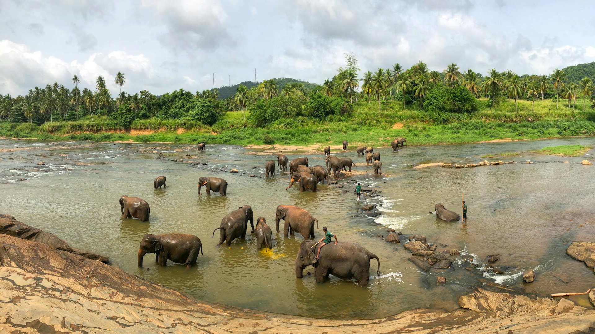The Citadel in the Clouds & The Great Elephant Gathering