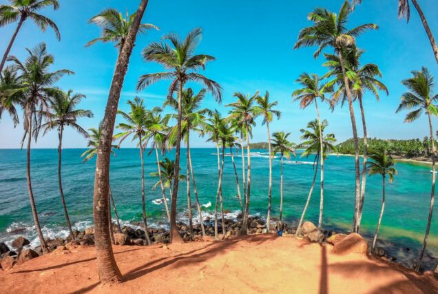 mirissa Sri Lanka