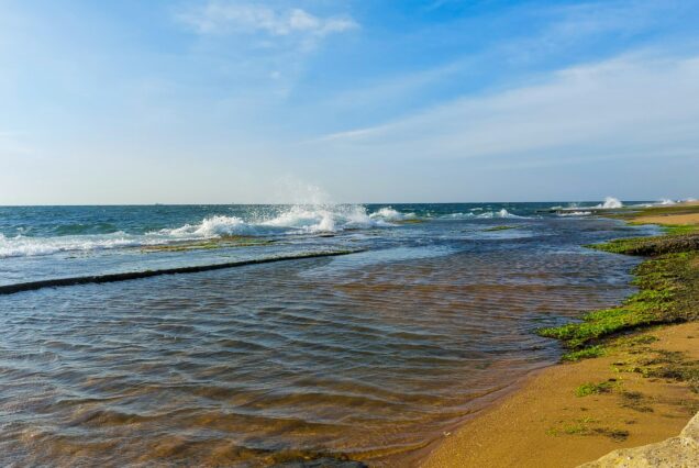 negombo Sri Lanka