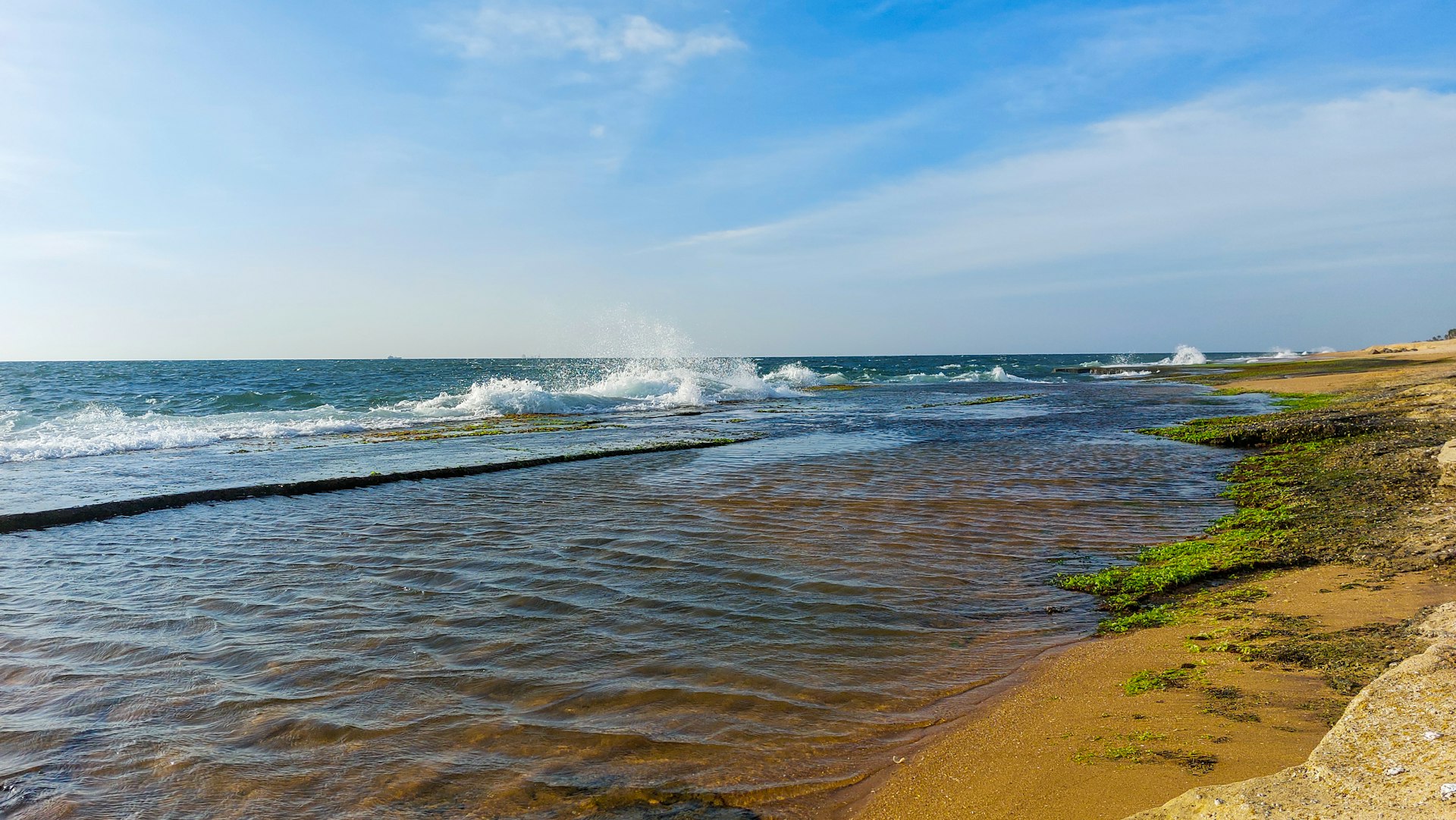 Welcome to the Tropics | The Oceanfront Arrival